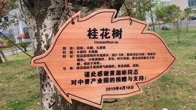 “種”希望！綠化中普，共建美麗家園